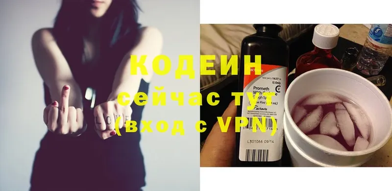 дарнет шоп  Змеиногорск  Кодеиновый сироп Lean Purple Drank 